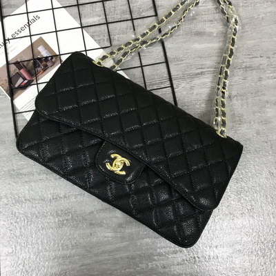 Chanel Handbags AAA(Women)-110