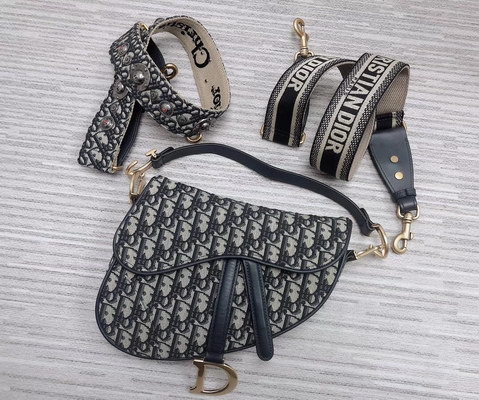 Dior Handbags AAAA(Women)(extra strap)-016