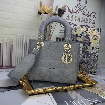 Dior Handbags AAAA(Women)-057