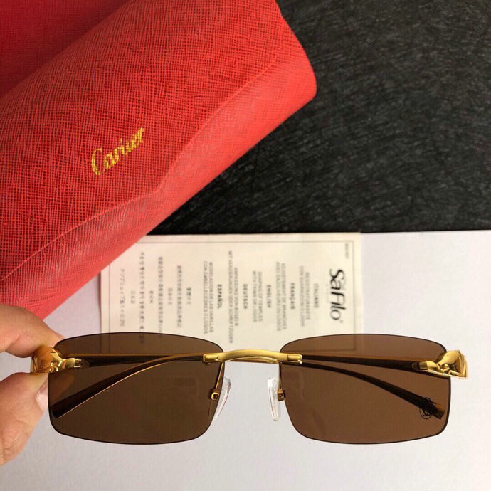 Cartier Sunglasses(AAAA)-221