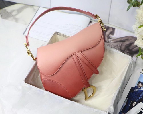 Dior Handbags AAAA(Women)-094
