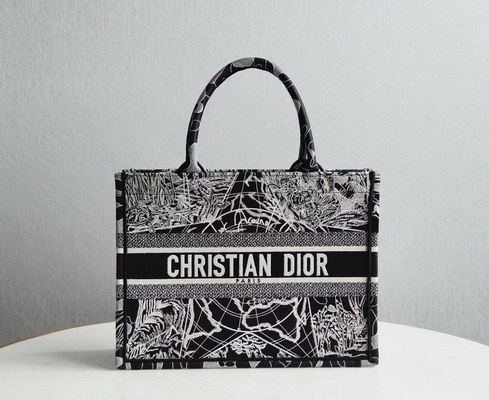 Dior Handbags AAAA(Women)-069