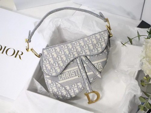 Dior Handbags AAAA(Women)-091