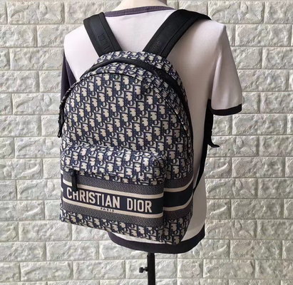 Dior Backpack(AAAA)-005