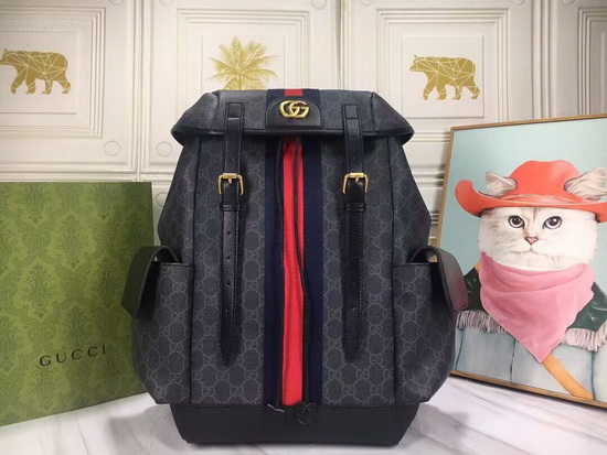 Gucci Backpack(AAA)-043