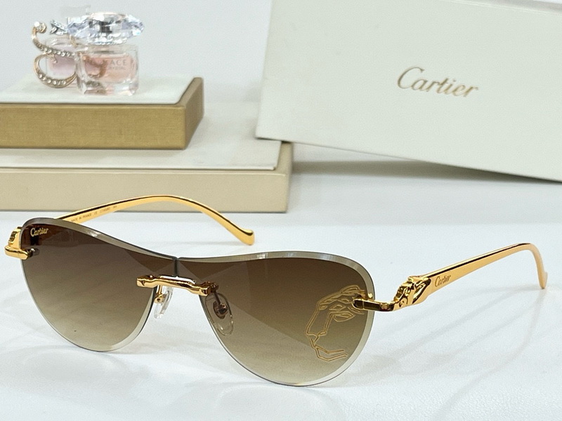 Cartier Sunglasses(AAAA)-1497