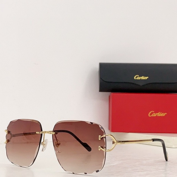 Cartier Sunglasses(AAAA)-1494