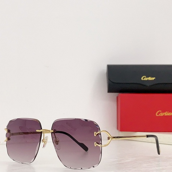 Cartier Sunglasses(AAAA)-1493