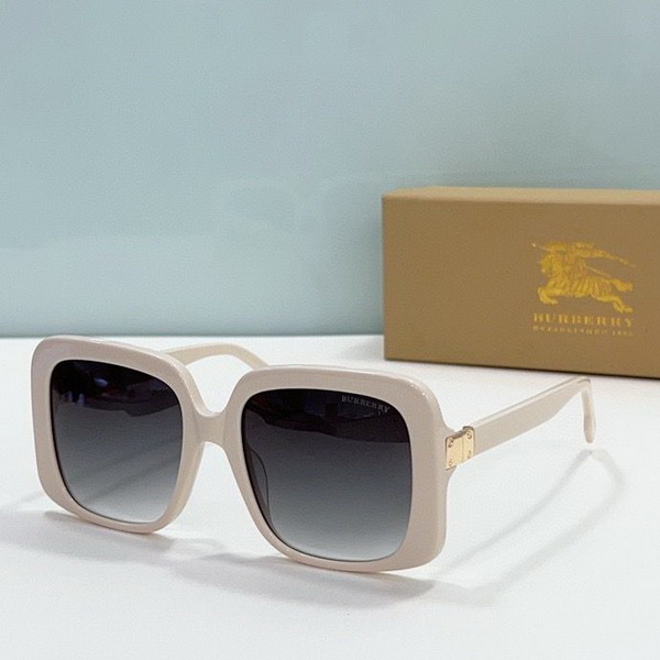 Burberry Sunglasses(AAAA)-877