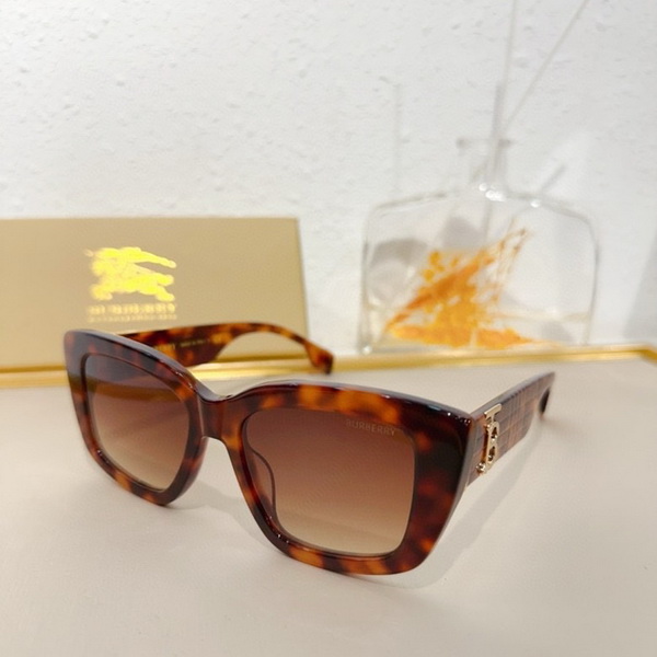 Burberry Sunglasses(AAAA)-850