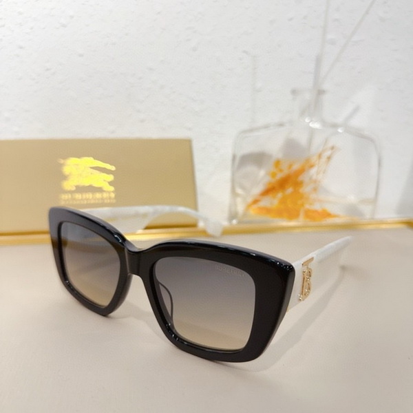 Burberry Sunglasses(AAAA)-848
