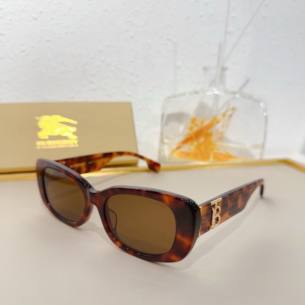 Burberry Sunglasses(AAAA)-844