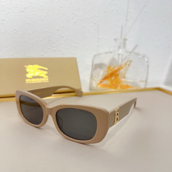 Burberry Sunglasses(AAAA)-841