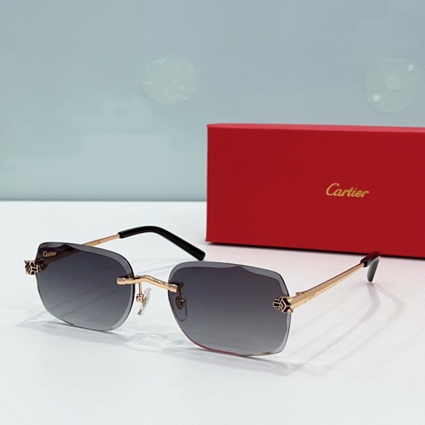 Cartier Sunglasses(AAAA)-1411