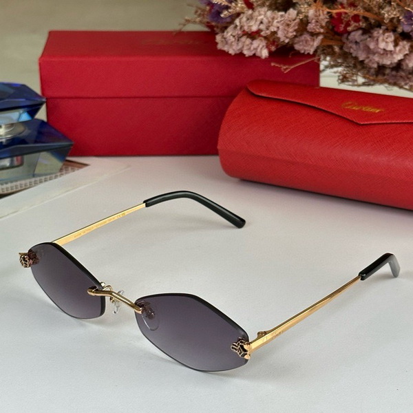 Cartier Sunglasses(AAAA)-1410
