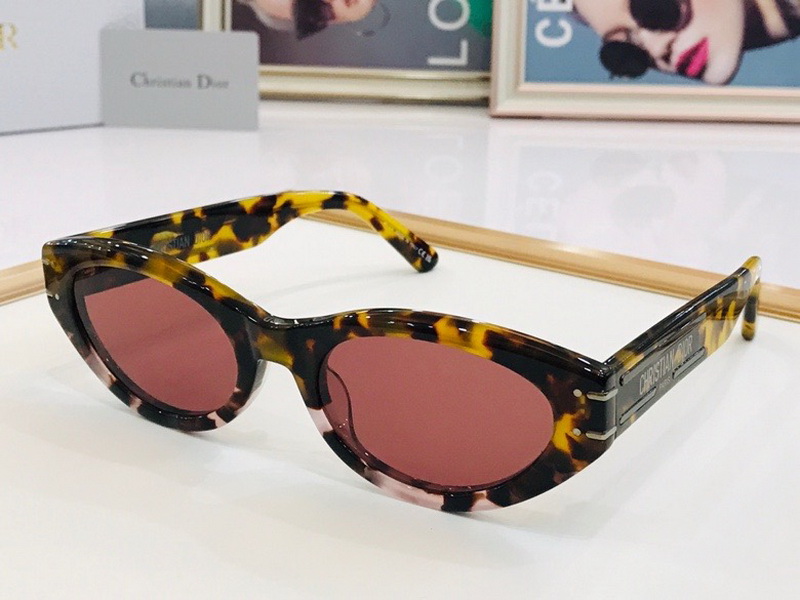 Dior Sunglasses(AAAA)-666