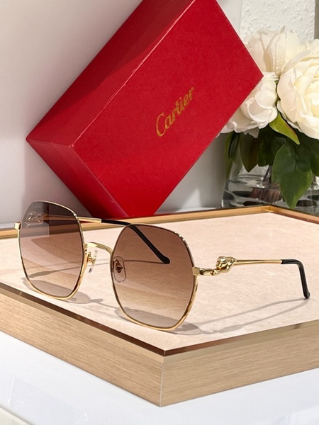 Cartier Sunglasses(AAAA)-1315