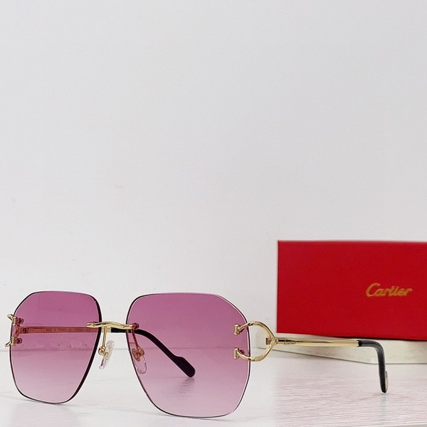 Cartier Sunglasses(AAAA)-1308