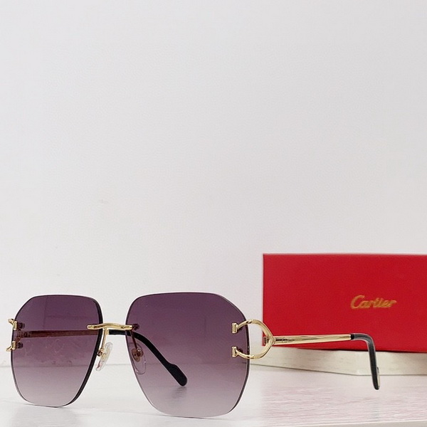 Cartier Sunglasses(AAAA)-1309