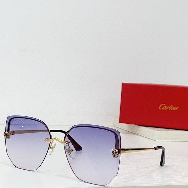 Cartier Sunglasses(AAAA)-1255