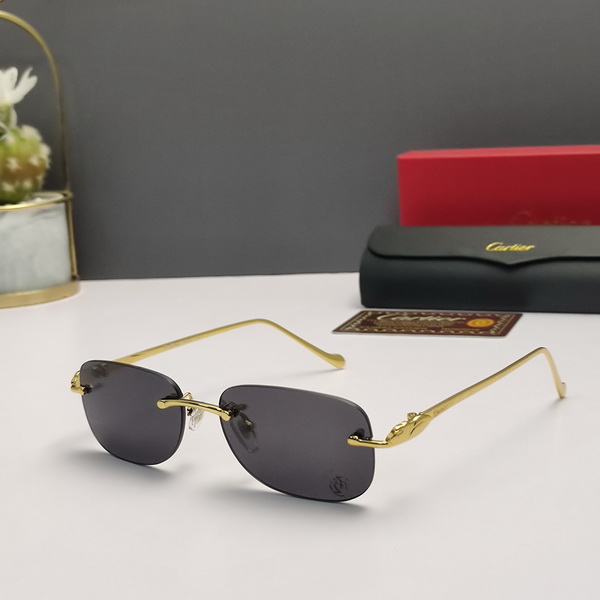 Cartier Sunglasses(AAAA)-791