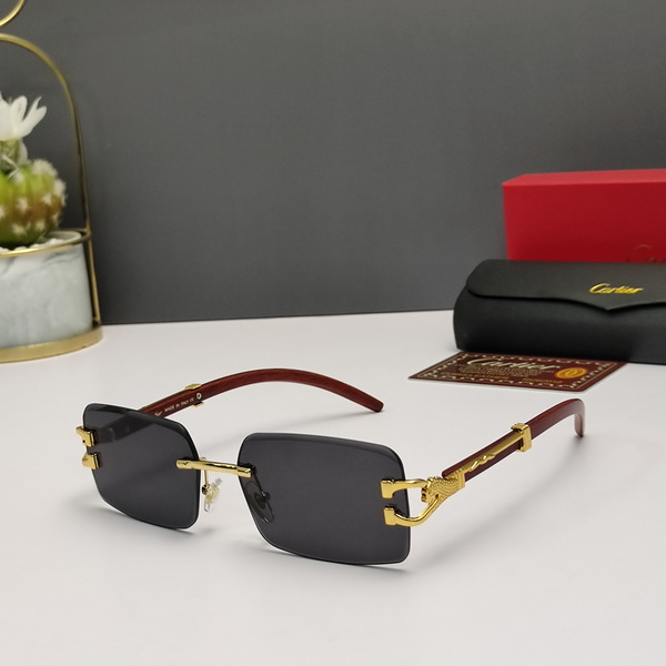 Cartier Sunglasses(AAAA)-729