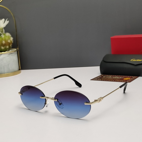 Cartier Sunglasses(AAAA)-691