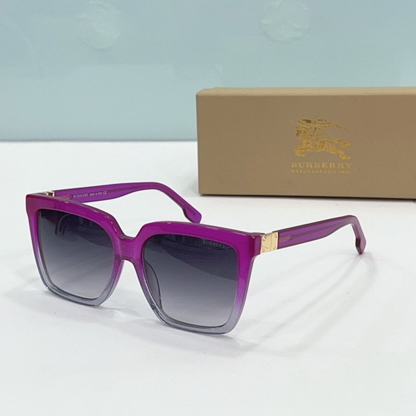 Burberry Sunglasses(AAAA)-495