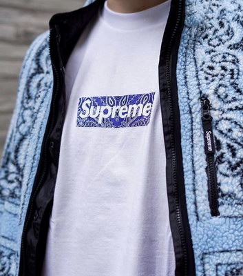Supreme T-shirts-001