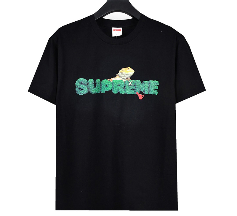 Supreme T-shirts-060