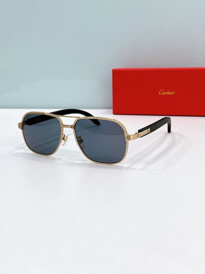 Cartier Sunglasses(AAAA)-1738