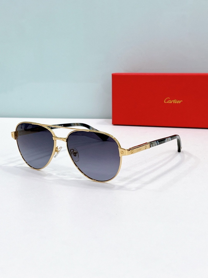 Cartier Sunglasses(AAAA)-1711
