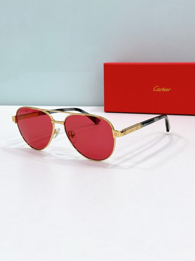 Cartier Sunglasses(AAAA)-1710