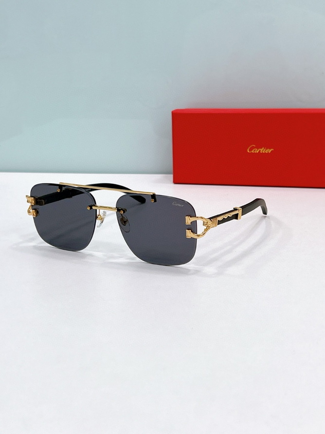 Cartier Sunglasses(AAAA)-1676