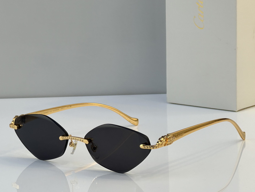 Cartier Sunglasses(AAAA)-1667