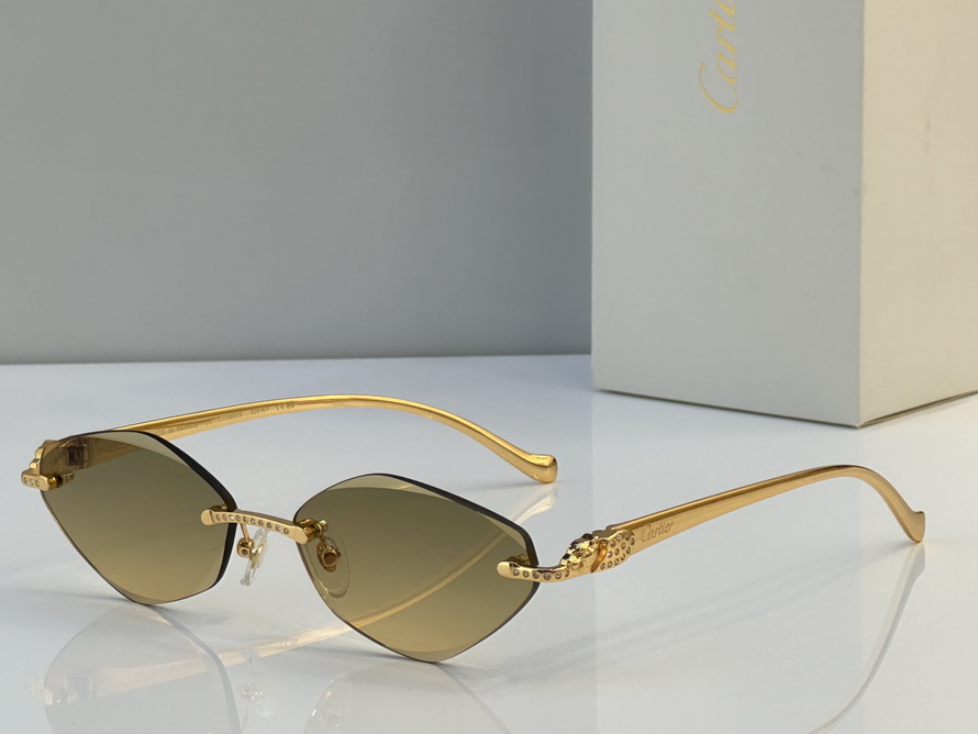 Cartier Sunglasses(AAAA)-1665