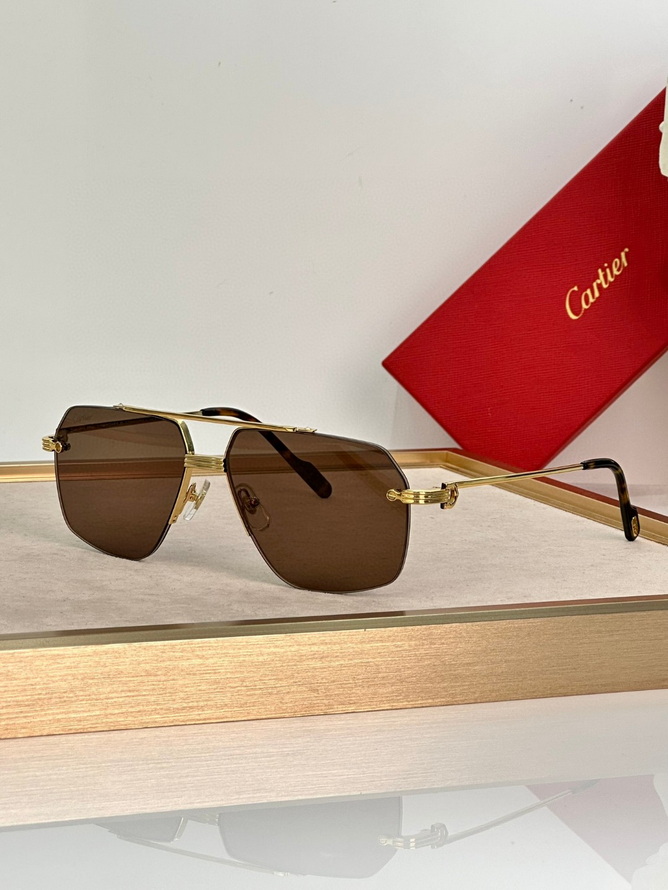 Cartier Sunglasses(AAAA)-1624