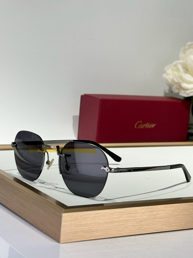 Cartier Sunglasses(AAAA)-1556