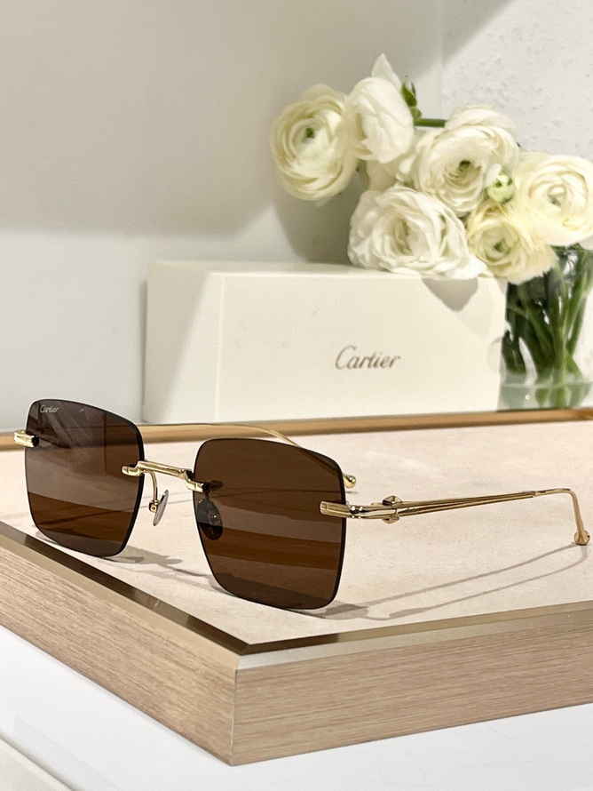 Cartier Sunglasses(AAAA)-1529