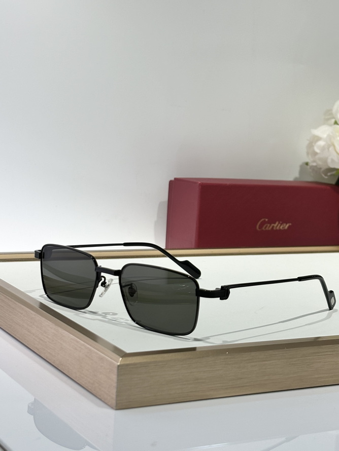 Cartier Sunglasses(AAAA)-1493