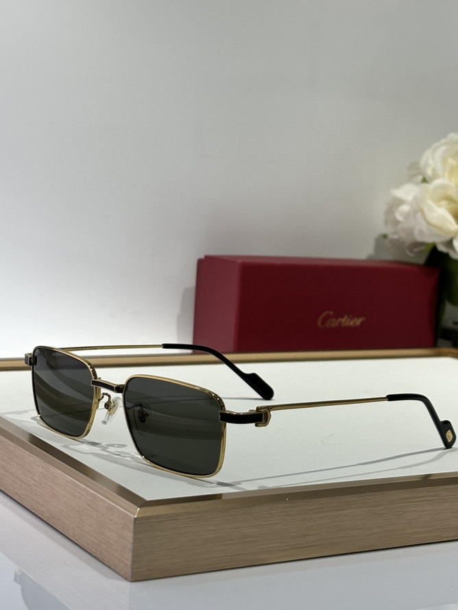 Cartier Sunglasses(AAAA)-1491