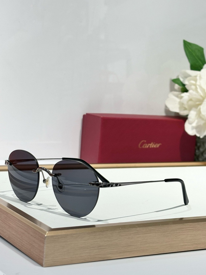 Cartier Sunglasses(AAAA)-1393