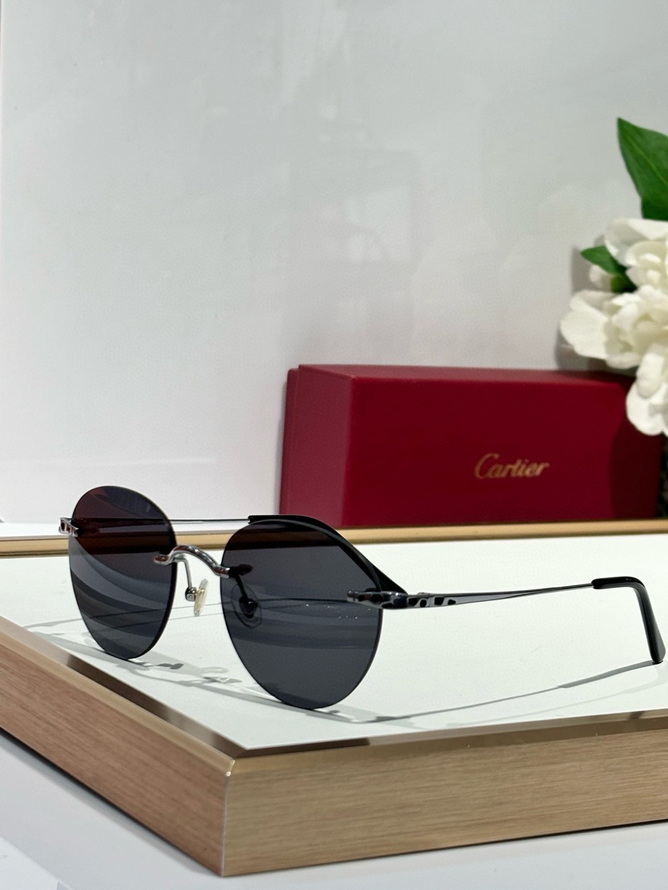 Cartier Sunglasses(AAAA)-1388
