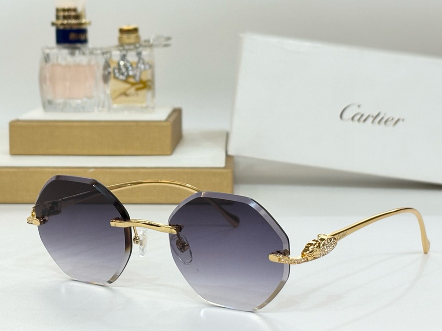 Cartier Sunglasses(AAAA)-1379