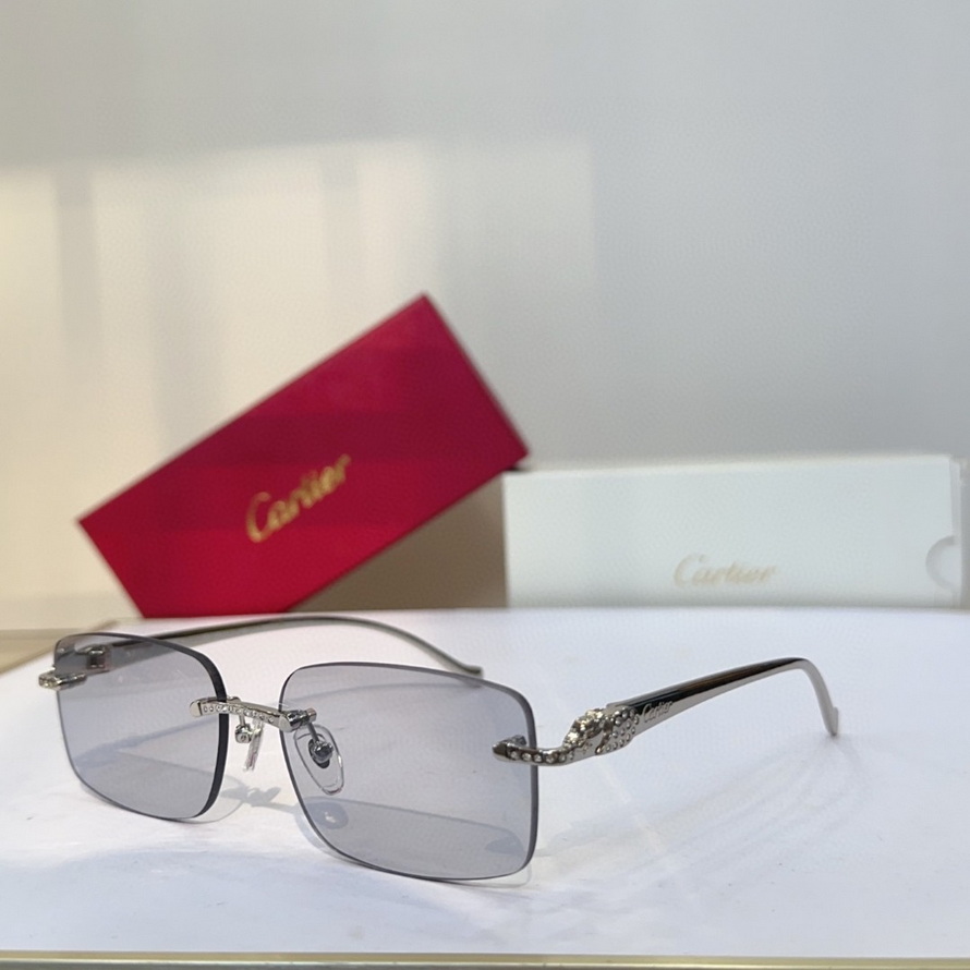 Cartier Sunglasses(AAAA)-1315