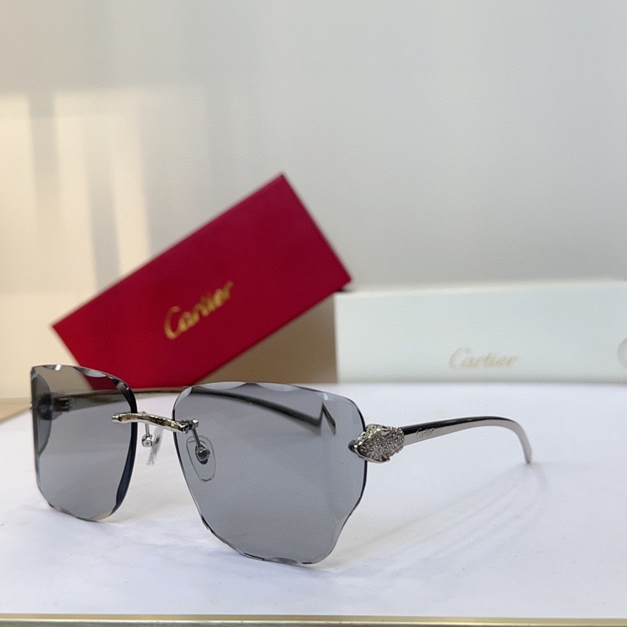 Cartier Sunglasses(AAAA)-1291