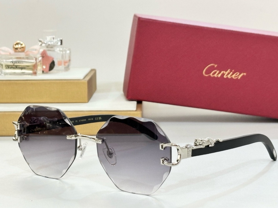 Cartier Sunglasses(AAAA)-1261