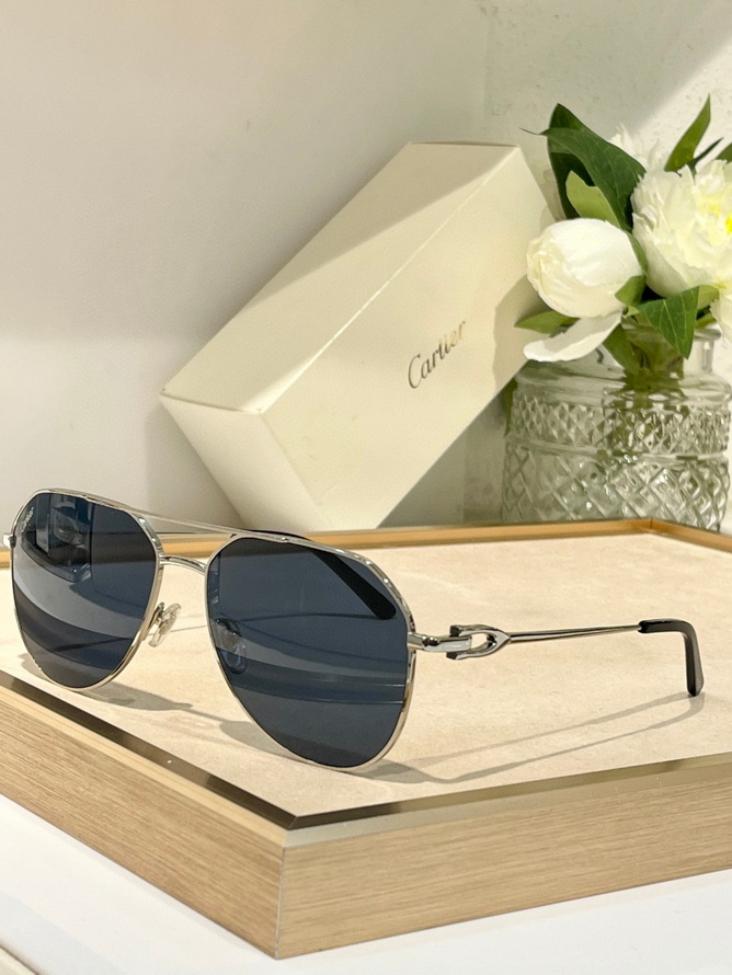 Cartier Sunglasses(AAAA)-1237