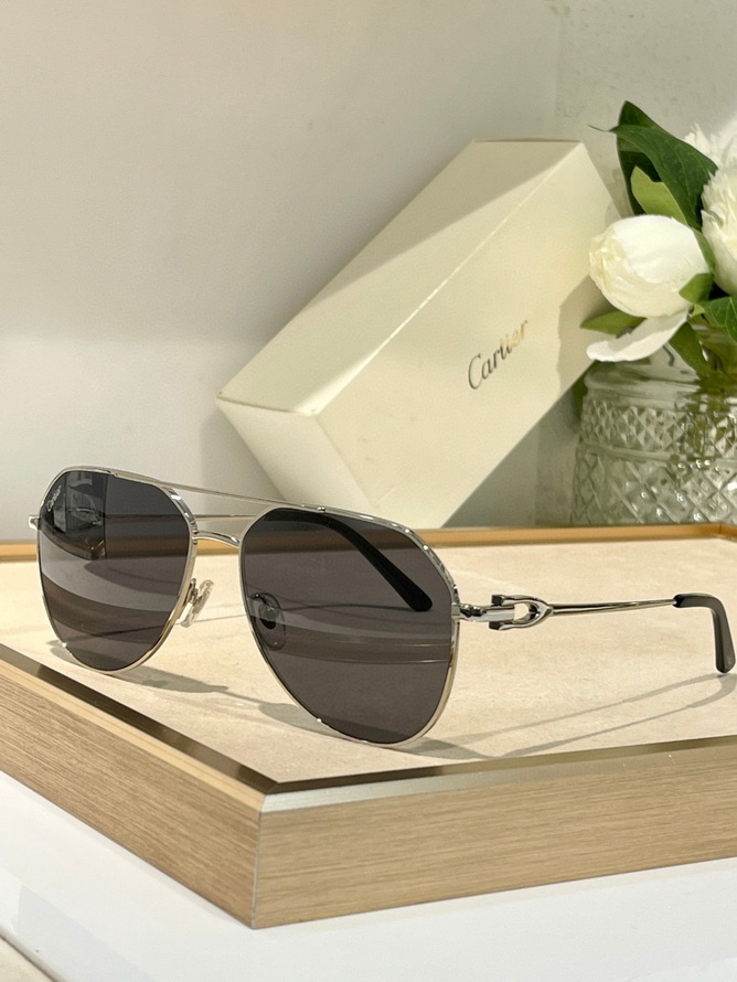 Cartier Sunglasses(AAAA)-1234