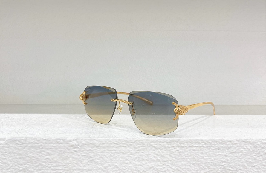 Cartier Sunglasses(AAAA)-1190